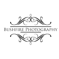 Studio Bushfire 1076295 Image 3